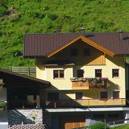 Ferienwohnung Viehhauser Hüttschlag 外观 照片